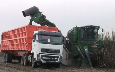 Agricultural off-road semi-trailer. Custom-made by RAC-Germany.